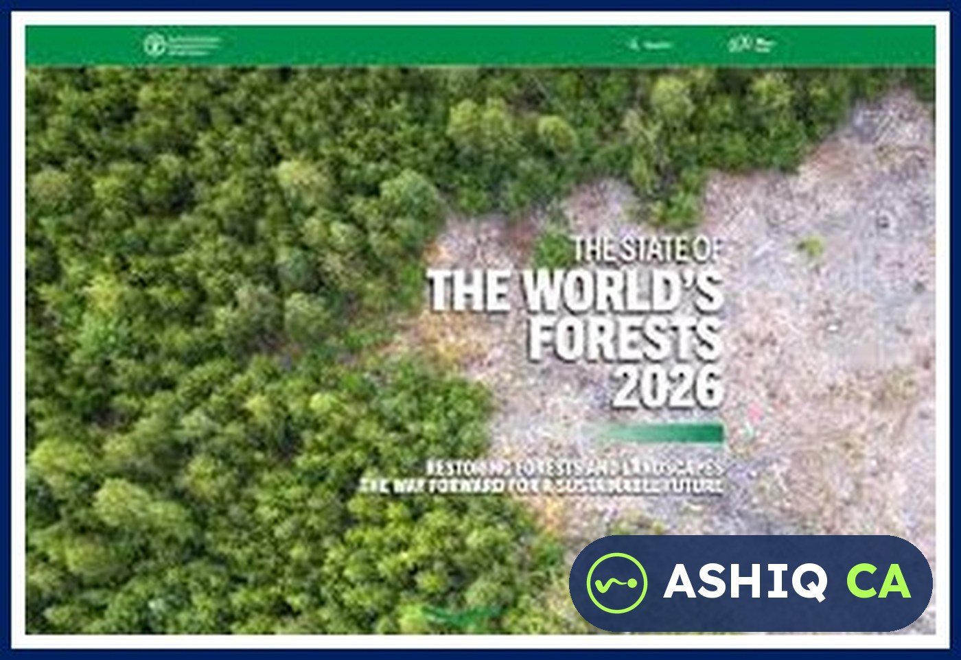 FAO's State of the World's Forests 2026: 'Restoring Forests and Landscapes'