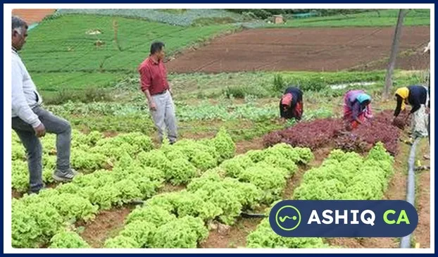 Ladakh Becomes India's First Fully Organic Union Territory | Daily Current Affairs 25 & 26 October 2026