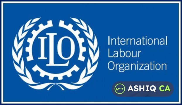 ILO statistical brief on domestic workers | Daily Current Affairs 28 October 2026